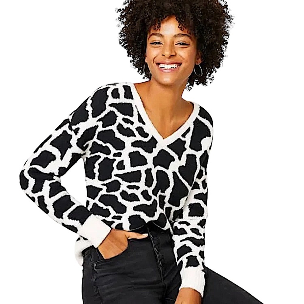 ANN TAYLOR LOFT: Women's Animal Spotted V-Neck Sweater - Size 20/22